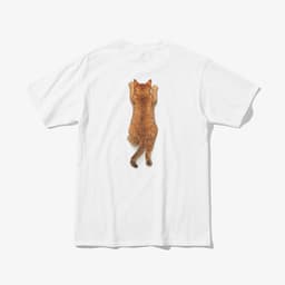 Carry Me, Hooman! (The Tiny Puma) thumbnail 1