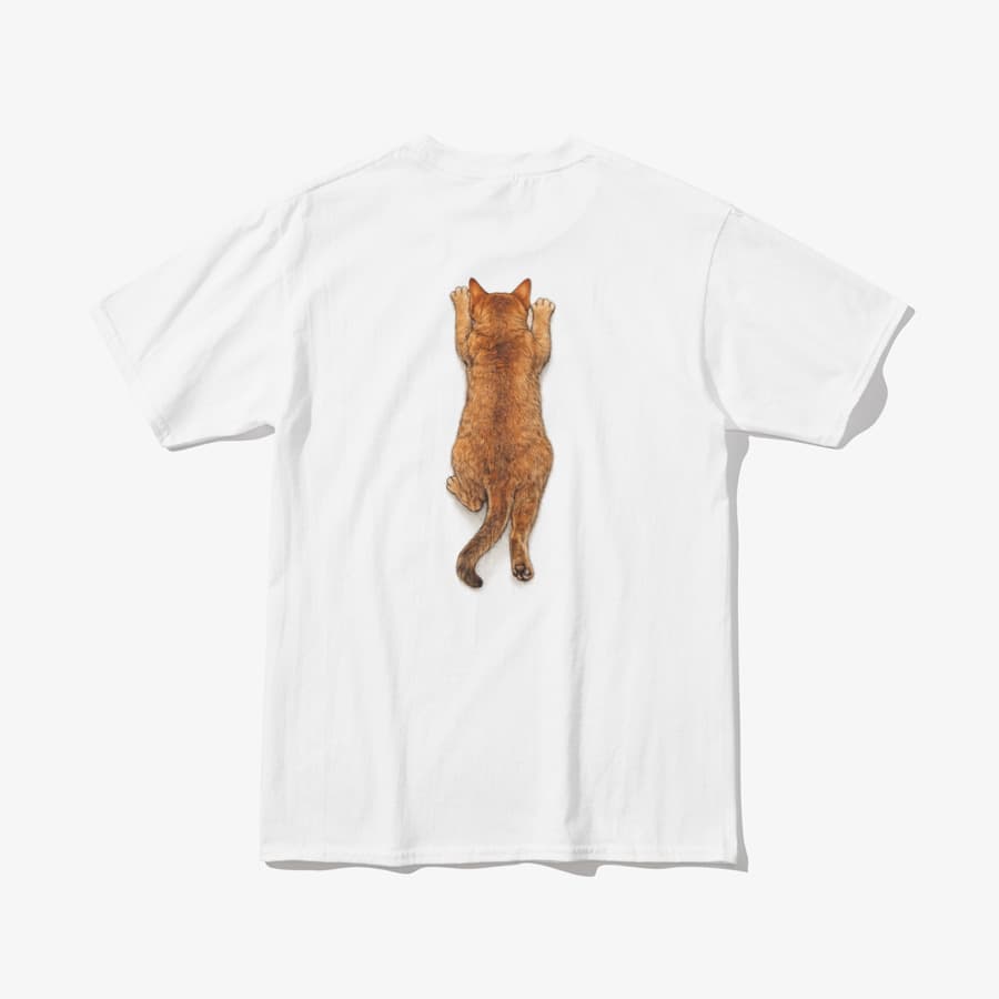 Carry Me, Hooman! (The Tiny Puma)