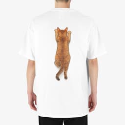 Carry Me, Hooman! (The Tiny Puma) thumbnail 3