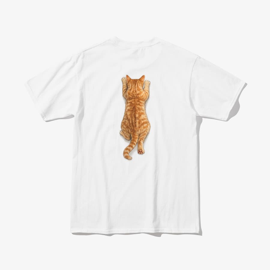 Carry Me, Hooman! (The Ginger Agenda)