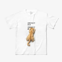 교양이 없지만 고양이 있어요 thumbnail 1