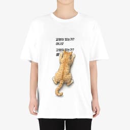 교양이 없지만 고양이 있어요 thumbnail 3