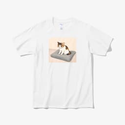 꾹꾹이의 정석(삼색) thumbnail 1