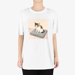 꾹꾹이의 정석(삼색) thumbnail 3