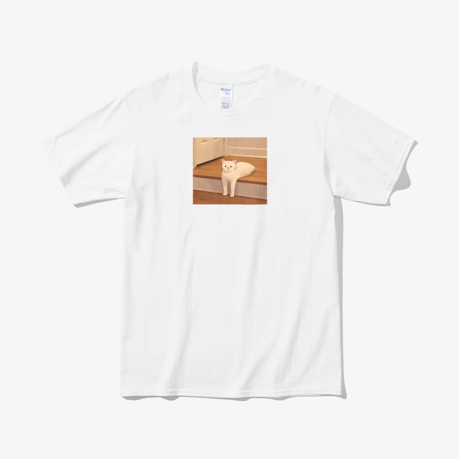 우리집 고양이 진짜 이렇게 생김 - 1