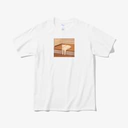 우리집 고양이 진짜 이렇게 생김 thumbnail 1