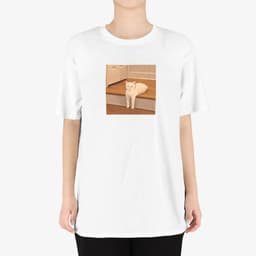 우리집 고양이 진짜 이렇게 생김 thumbnail 2