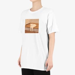 우리집 고양이 진짜 이렇게 생김 thumbnail 3