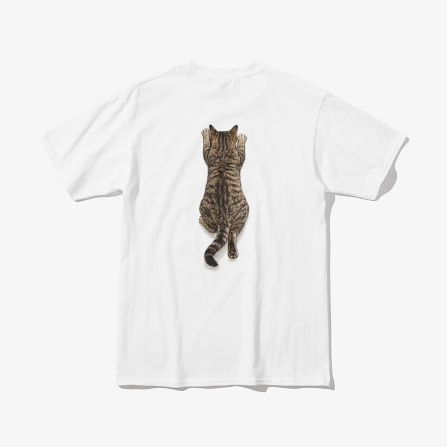 날 업어라 닝겐(고등어태비) - 1