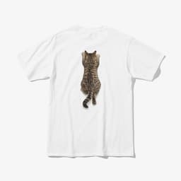 날 업어라 닝겐(고등어태비) thumbnail 1