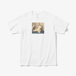 피곤쓰... thumbnail 1