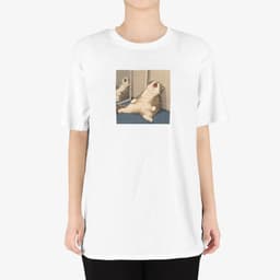 피곤쓰... thumbnail 2