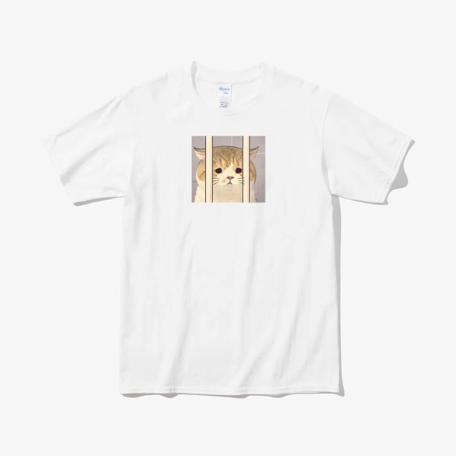 선생님 저는 억울합니다 - 1