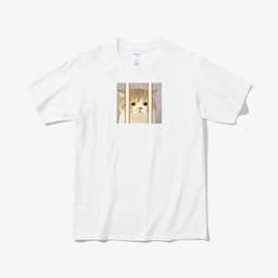 선생님 저는 억울합니다 thumbnail 1